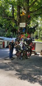 2019- Tail of the Dragon Trip
